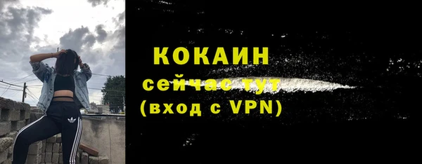 дживик Каменногорск