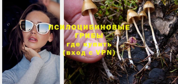 синтетический гашиш Карпинск