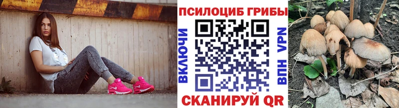 Галлюциногенные грибы Psilocybine cubensis  Кашира 