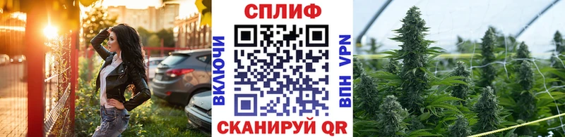 Бошки марихуана Amnesia  где продают   Кашира 